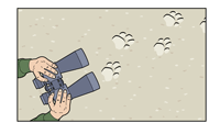 1-tiger-binoculars