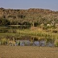 Small_machali__15_years_old__estmated_to_have_been_seen_by_over_400_000_people_and_to_have_raised_over_us_100m_to_the_local_economy_around_ranthambhore_in_last_ten_years._aditya_singh