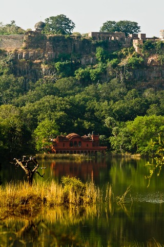 View over a Ranthambhore lake