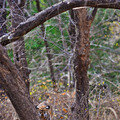Small_ads_000041692