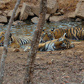 Small_dsc_0541