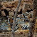 Small_dsc_0558