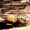 Small_img_0936