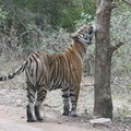 Small_img_8361