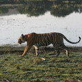 Small_img_9660