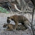 Small_img_6210__tn