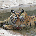 Small_img_7006ed