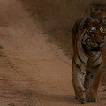 Small_img_4630