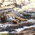Small_unnis_t19_at_malik_lake_side__11th_march_2014._bobby_bhargava