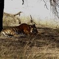 Small_unnis_besides_malik_lake__bobby_bhargava