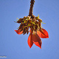 Small_dsc_5761