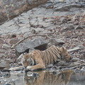 Small_dscn0847