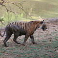 Small_img_0180