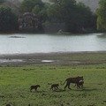 Small_p1130222