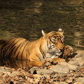 Small_img_0331