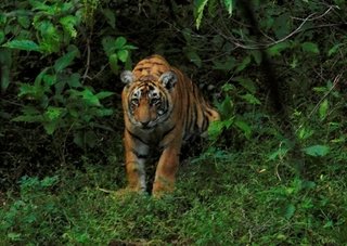 Small_img_2655b