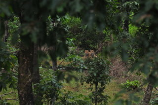 Small_dsc_8241