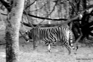 Small_dsc_0021
