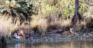 Small_img_1364