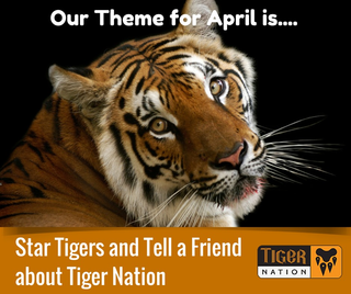 Star Tigers and Tell a Friend (c) 2015 Small_april_theme1