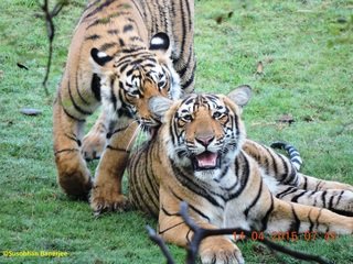 Small_dscn2062