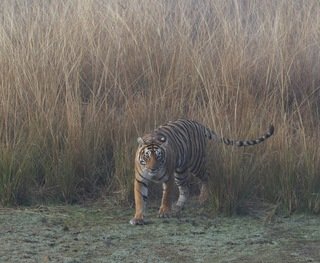 Small_img_0346ed
