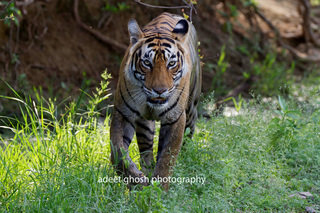 Small_img_6361