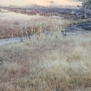 Small_image