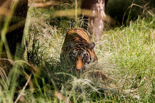 Small_img_4397-edit