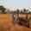 Mini_dscn0192
